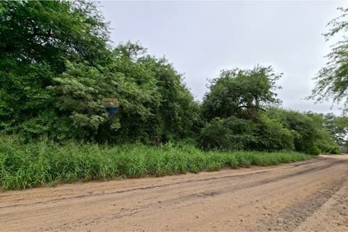 Terreno en filadelfia — foto 5
