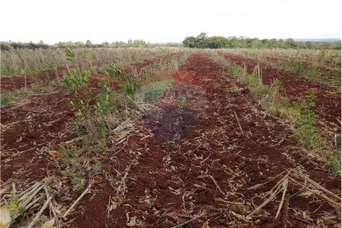Terreno de 4 has. 0005 m2 ubicado en cambyretá — foto 4