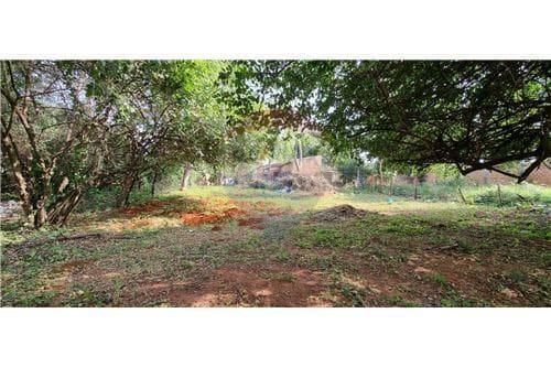 Terreno en San Lorenzo — foto 2