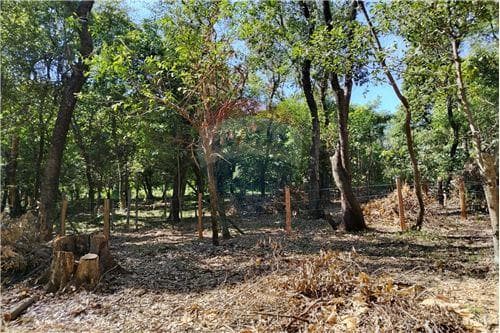 Hermoso Terreno camino a ES VEDRÁ ciervo cua — foto 3