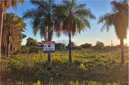 🏞️ ¡Vendo terreno en Ypacaraí – Zona Pedrozo! 🏞️ — foto 5