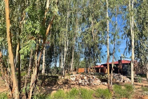 terreno en Limpio, foto 4
