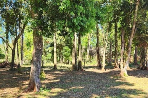 Terreno en Capitán Miranda: Inversión Ideal — foto 1