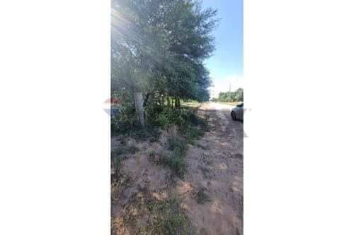 Terreno de casi 1 hectárea – loma plata — foto 5