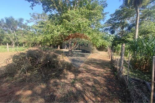 Terreno en j. Augusto saldivar — foto 3