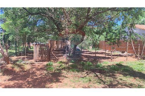 Terreno en venta en cañada garay -Luque — foto 2
