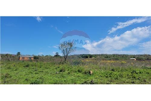 En venta terrenos en la ciudad de loma grande — foto 2