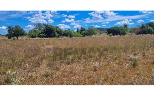 Terreno en pirayu - paraguari — foto principal