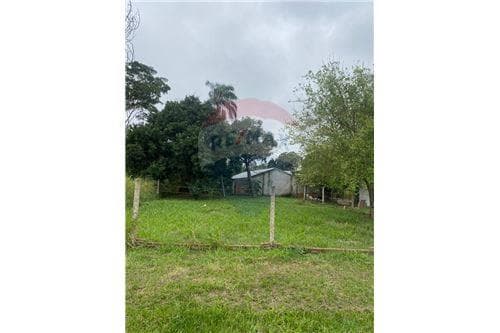 De terreno en san juan del parana — foto 2