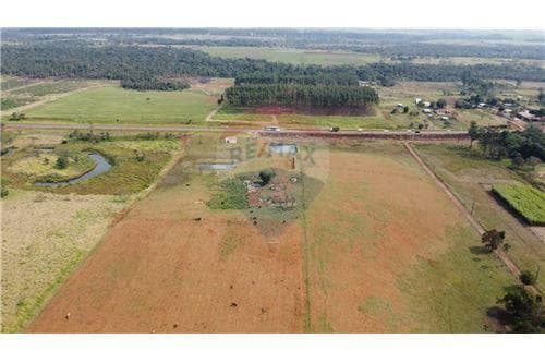 En venta campo o estancia en minga guazu — foto 3