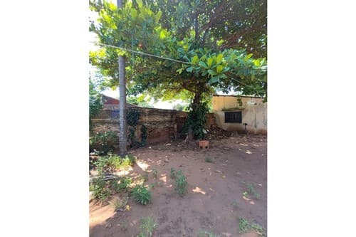 En venta amplia propiedad zona centrica de Luque!