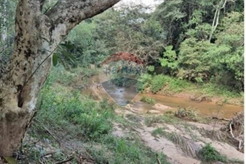 Terreno en eusebio ayala — foto 2