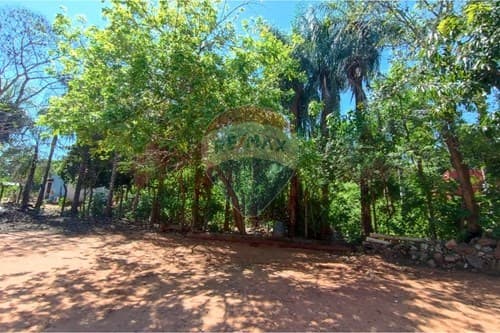 Terreno en isla bogado — foto 5