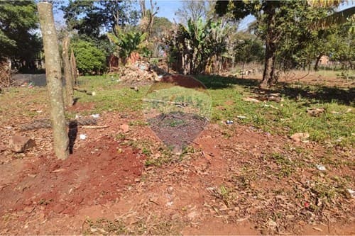 Terreno en km 10 monday titulado — foto 5