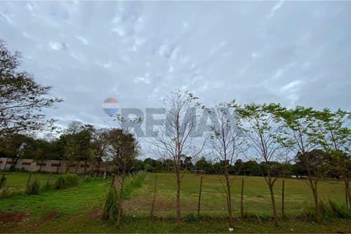 Terreno en venta – 1 hectárea | Km 10 Acaray — foto 3