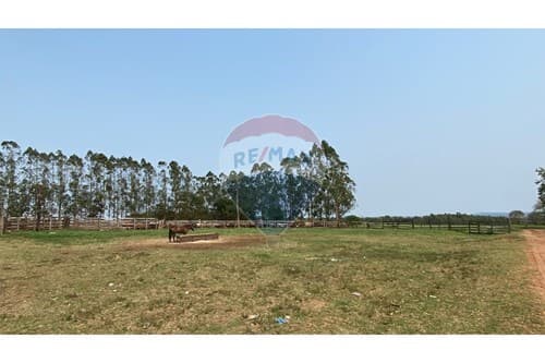 Campo en venta en Simón Bolívar — foto 5