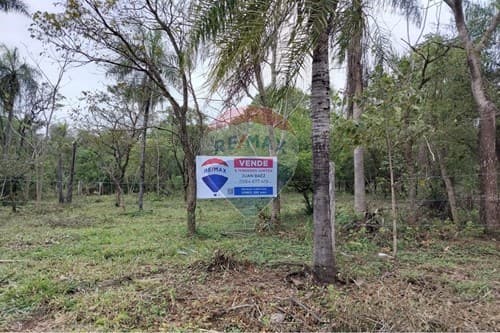 6 terrenos juntos en altos — foto 2