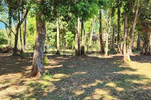 Terreno en Capitán Miranda: Inversión Ideal — foto 2
