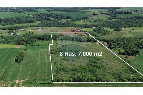 Propiedad de 8 hectáreas y 7.000 m2 — foto 3
