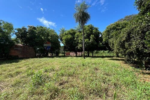 Vendo 2 terrenos juntos en ypane- bo san antonio