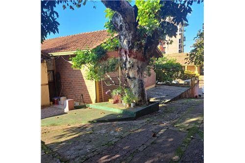Amplio terreno centrico a la venta, foto 5
