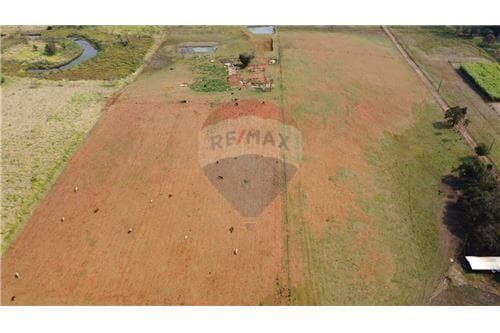 En venta campo o estancia en minga guazu — foto 4