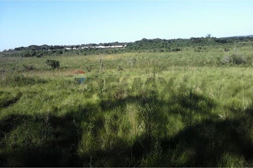 ¡Terreno Ideal en Valenzuela!, foto 4