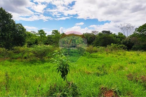 Terreno de 13650 m2 en Arroyos Y Esteros