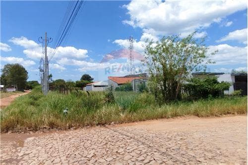 Terreno en limpio — foto 2