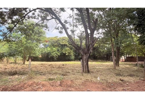 Terreno Limite Campo Grande — foto 5