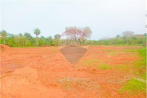 terreno en J.A. Saldivar - Mbokajaty — foto 3