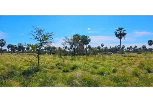 Estancia sobre ruta transchaco km 130 — foto 5