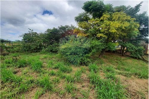 Terreno en Venta – Carmen del Paraná - Itapua — foto 3