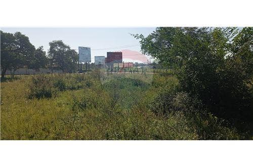 15 hectáreas en venta - Ruta Luque Sanber — foto 5