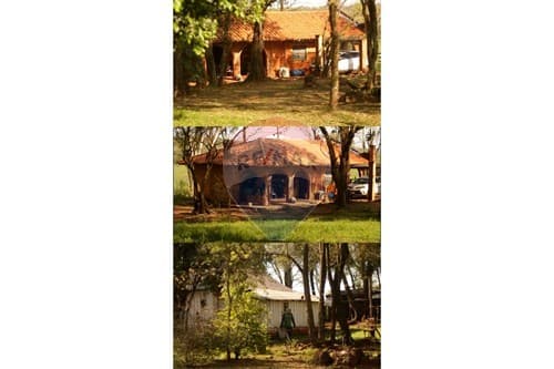 Campo de 80 hectáreas en San Pedro del Paraná — foto 4