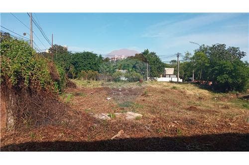 En Venta Terreno en Encarnacion — foto 2