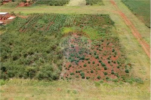 En venta dos terrenos juntos en minga guazu — foto 2