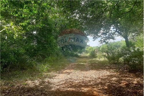 Terreno 1552 m2 en la ciudad de limpio isla aveiro, foto 5
