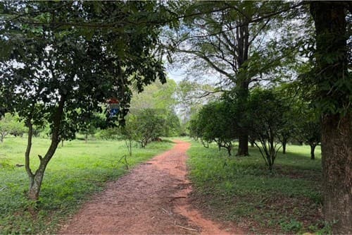 En venta finca agricola de 15 ha — foto 3