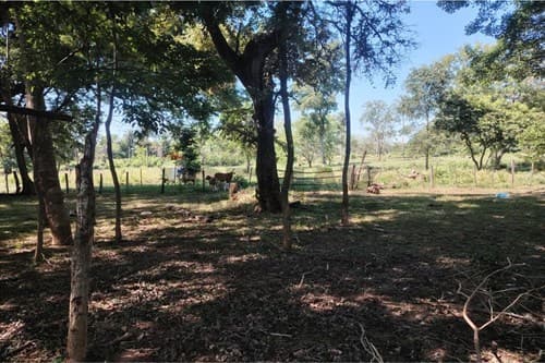 En venta hectareas