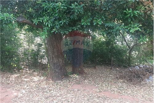 Terreno en la ciudad de limpio barrio isla aveiro — foto 3