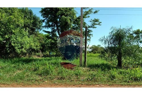 Terreno en km 10 acaray, foto 4