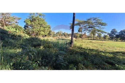 En venta dos hectarea Luque centro — foto 5
