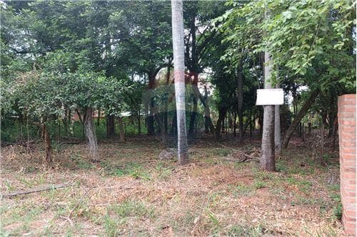 Vendo Hermoso Terreno en Mariano Roque Alonso
