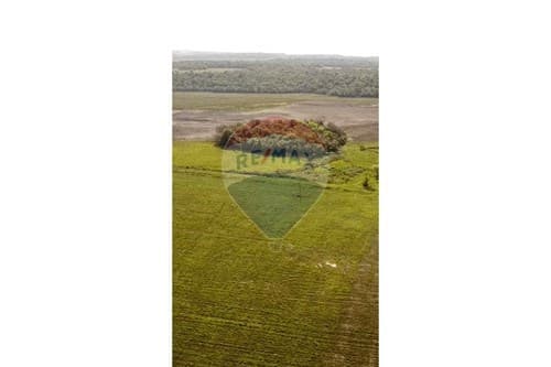 Campo de 80 hectáreas en San Pedro del Paraná — foto 5