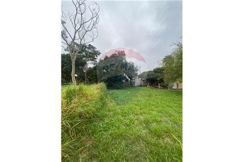 De terreno en san juan del parana — foto 5