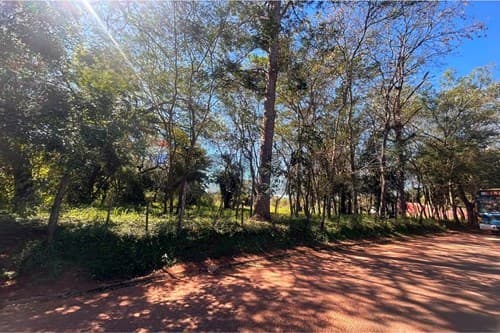 Propiedad de 1 ha con 1.093 mts2 en Capiatá ruta 2, foto 3