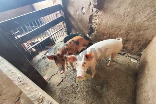 Terreno ideal para quinta o granja