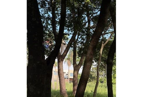 Parque alto - ypacarai, foto 3