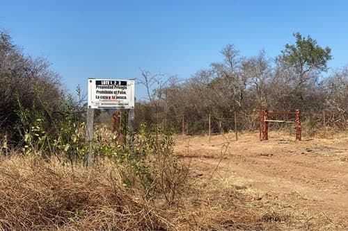 Campo en venta – 2.017 ha. en Bahía Negra — foto 2